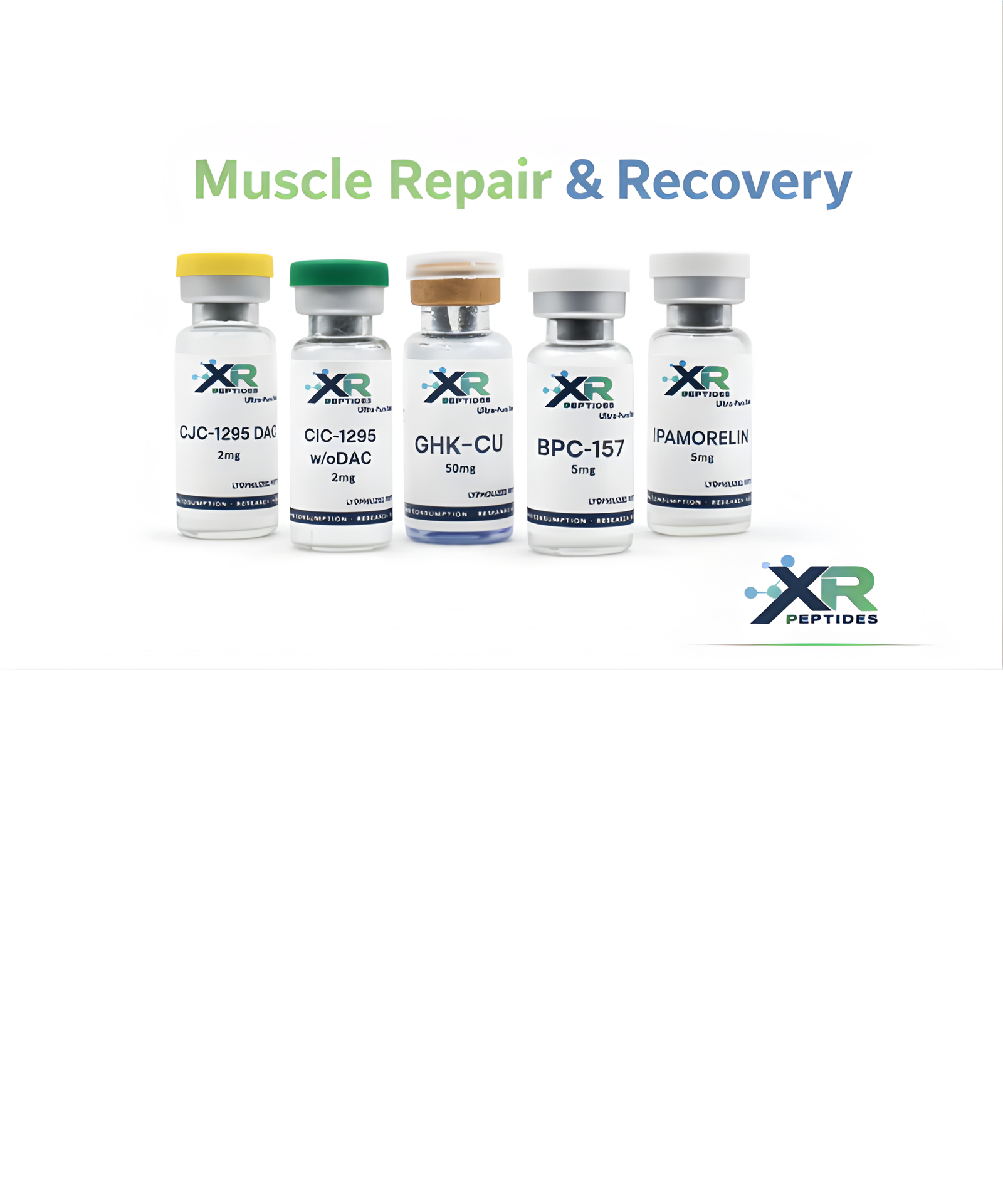 Muscle Repair & Recovery Research